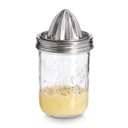 Juicer, 450 ml, glass/stainless steel