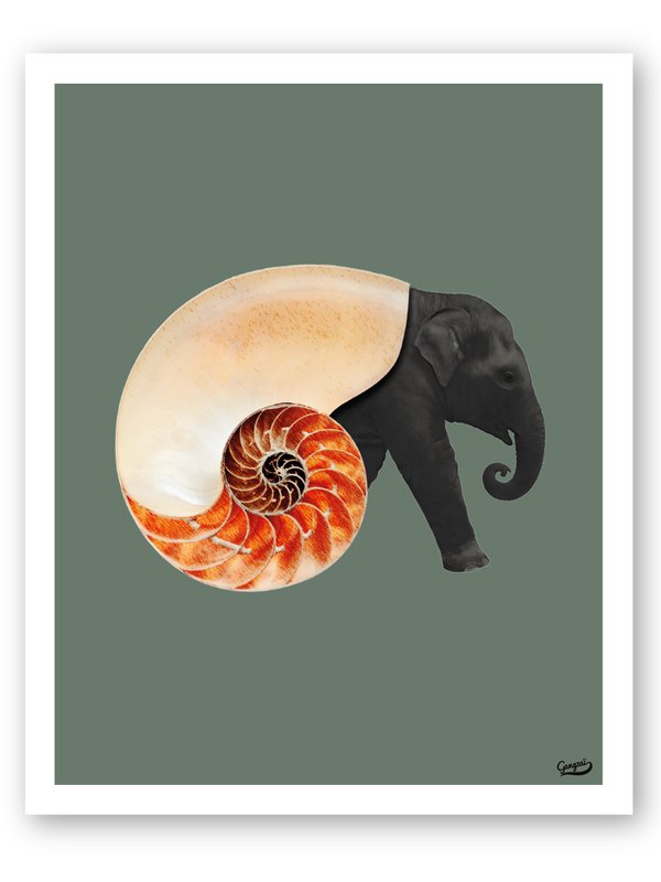 Shellephant plakat