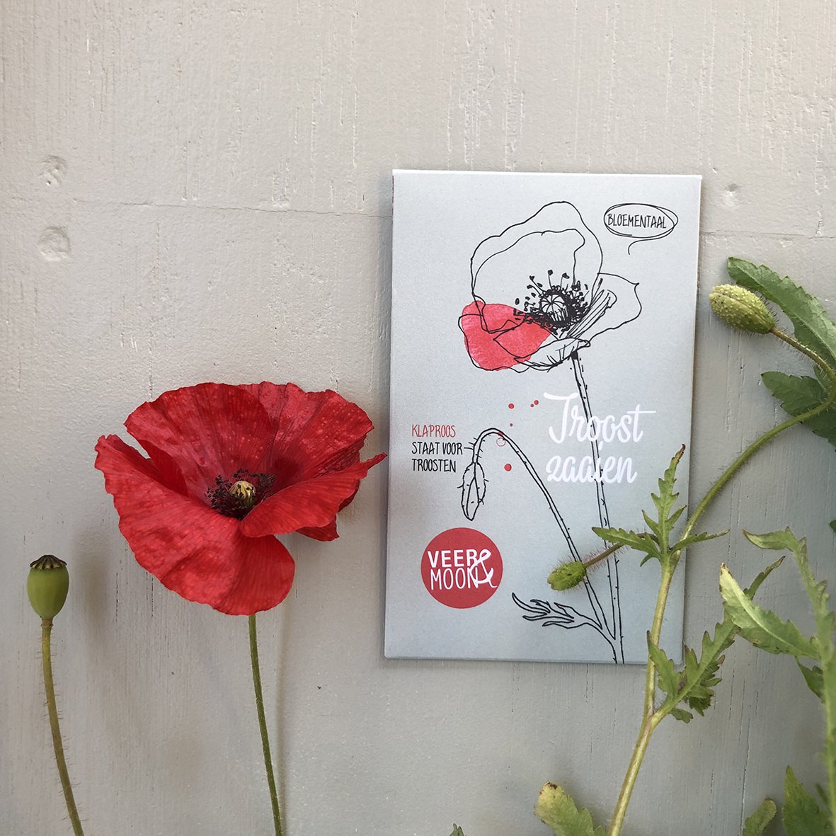 Bloemenzaden 'Troost zaaien'