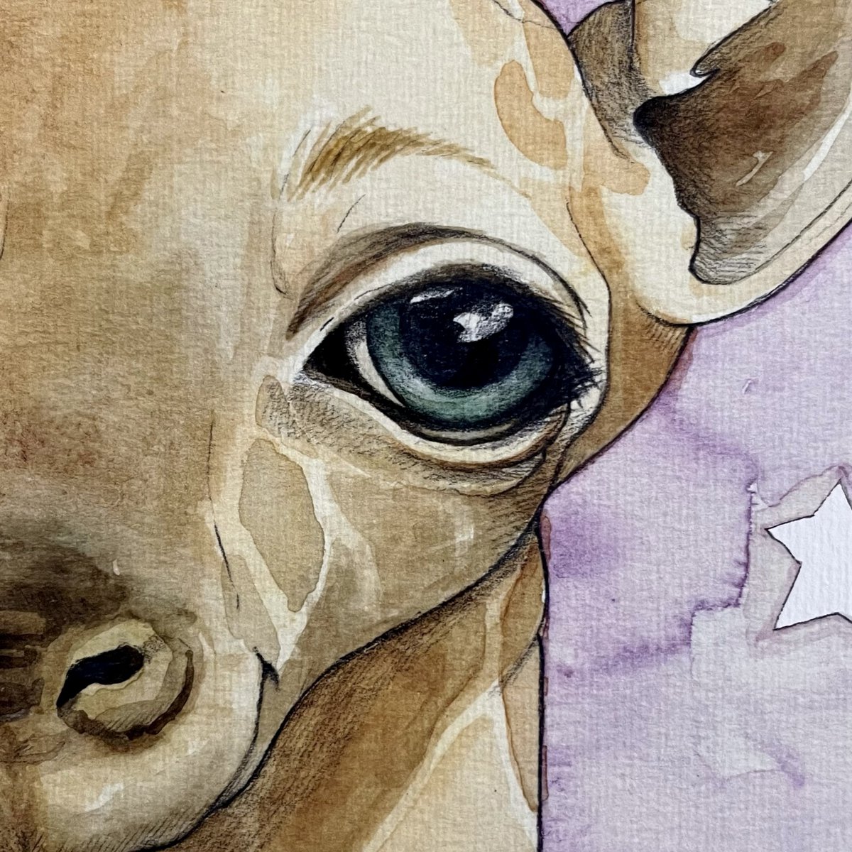 Die Giraffe