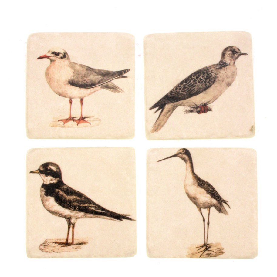 Coasters Birds