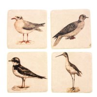 Coasters Birds