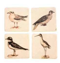 Coasters Birds