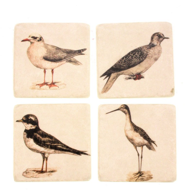 Coasters Birds