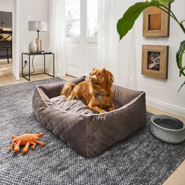 OXFORD I CLASSIC HUNDEBETT