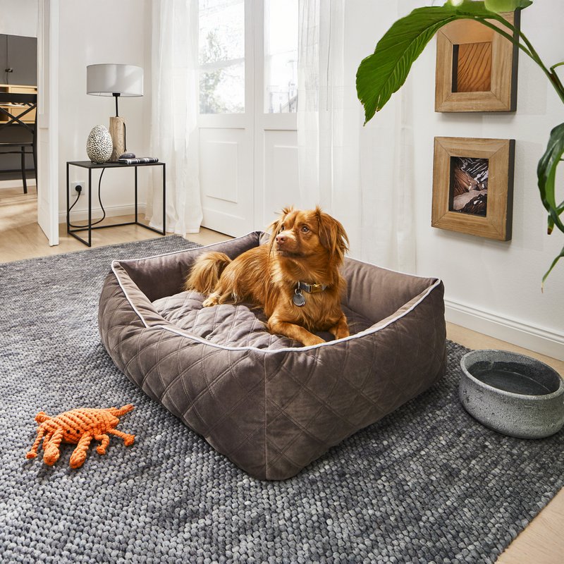 OXFORD I CLASSIC HUNDEBETT