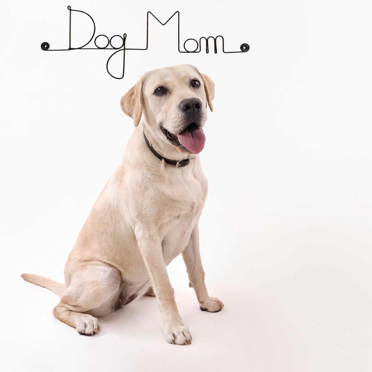 Decoración de pared de alambre "Perro" "Mamá Perro" - para fijar - Joyería de pared