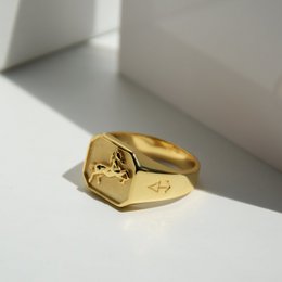 Ring DARK HORSE | 925 silver