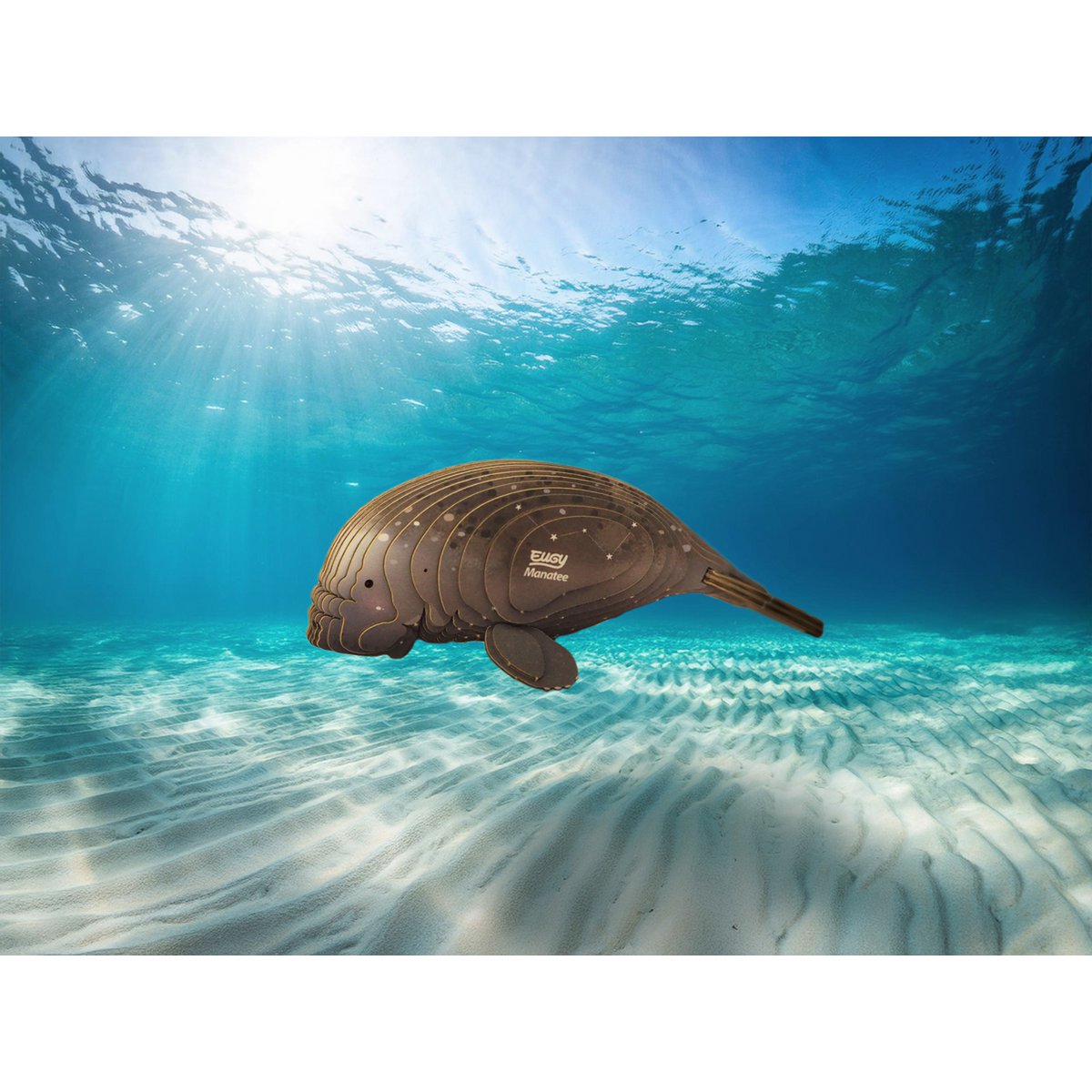 EUGY 3D Puzzle - Manatee