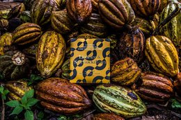 "Dark chocolate 53% with licorice and sea buckthorn, yellow packaging with black swirl pattern design"