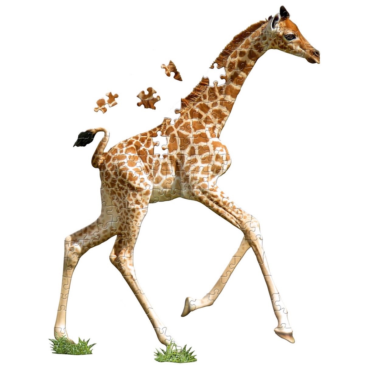 I Am Lil' - Giraf