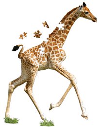 I Am Lil' - Giraf