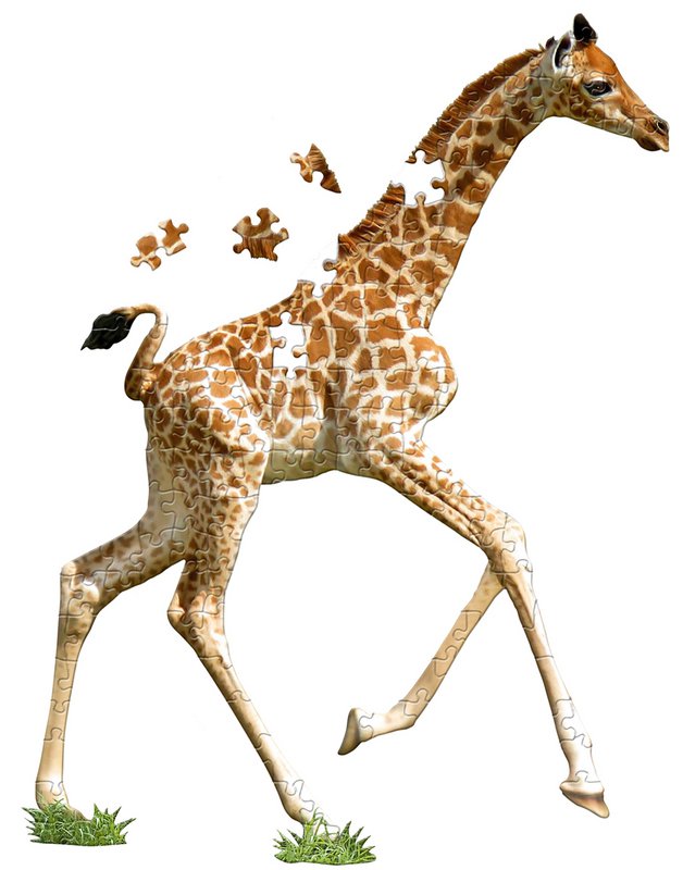 I Am Lil' - Giraf