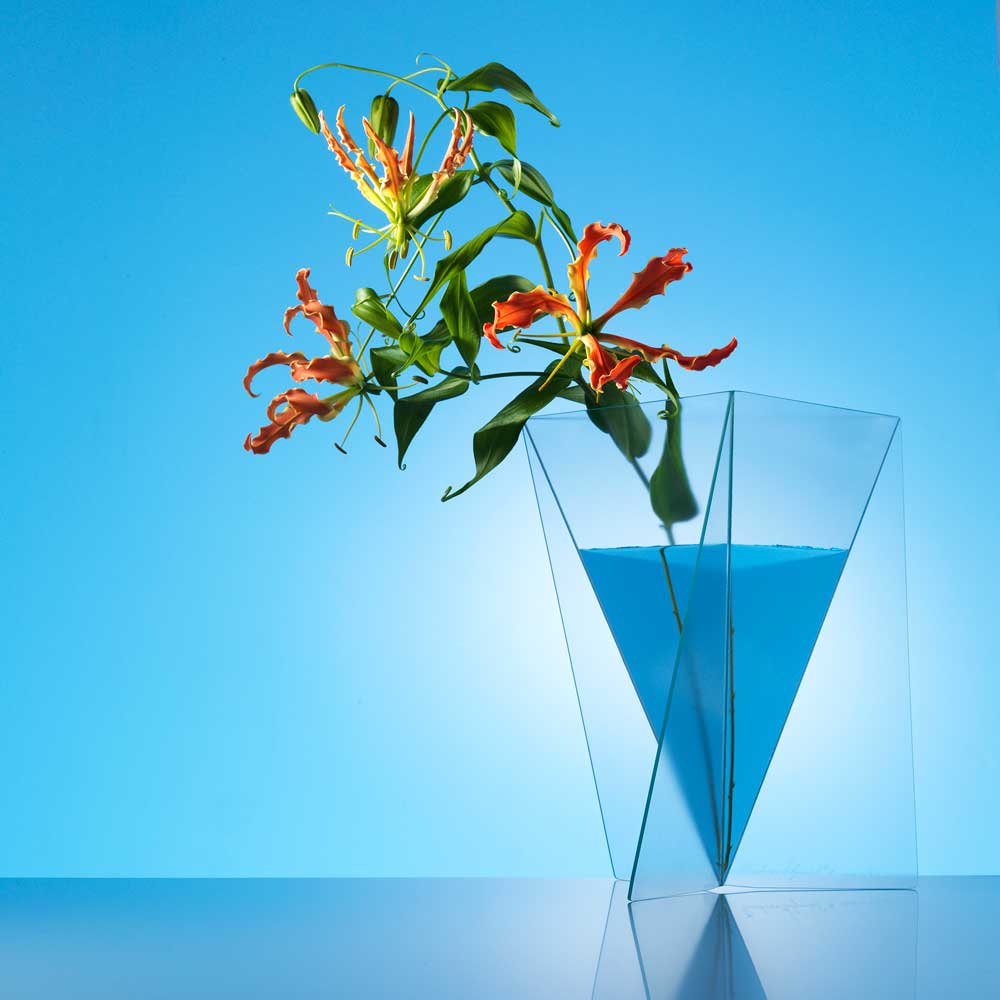 Designvase - Mart van Schijndel - Deltavase