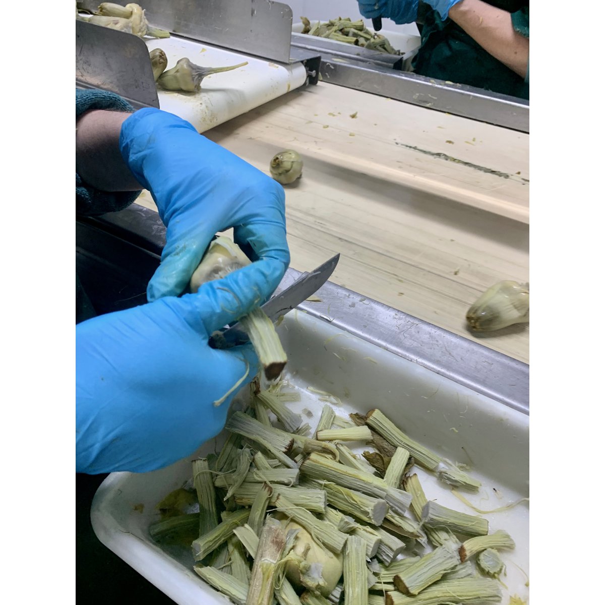 ORGANIC ARTICHOKE HEARTS. CONFIT IN OIL.