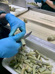 ORGANIC ARTICHOKE HEARTS. CONFIT IN OIL.