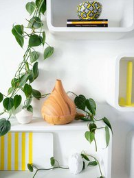 Unity Scent Cloud® Diffusor – Helles Holz – 400 ml – Empfohlener Preis 44,95 €