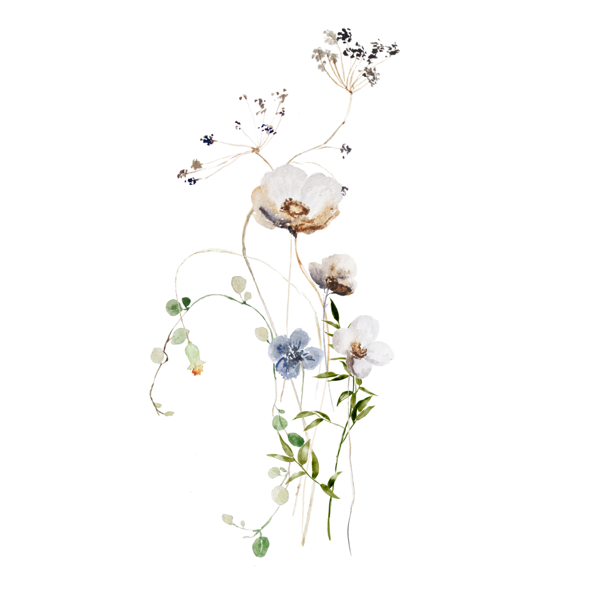 Carte durable `fleurs sauvages