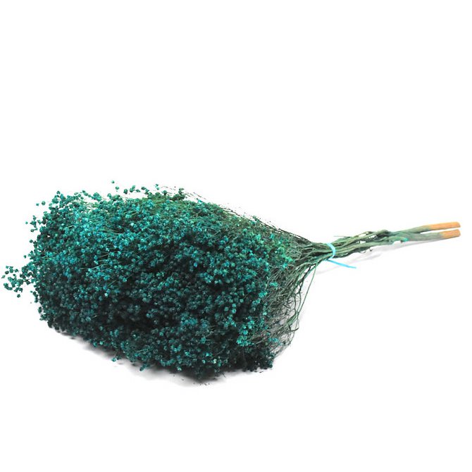 Broom Bloom, environ 50cm, pétrole