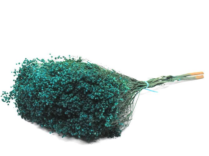 Broom Bloom, ca. 50cm, petrol