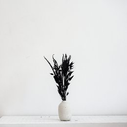 Dried black flower bouquet in a white vase. The bouquet features long, slender stems with dark, dramatic blooms. The minimalist, monochrome styling creates a striking, modern aesthetic.