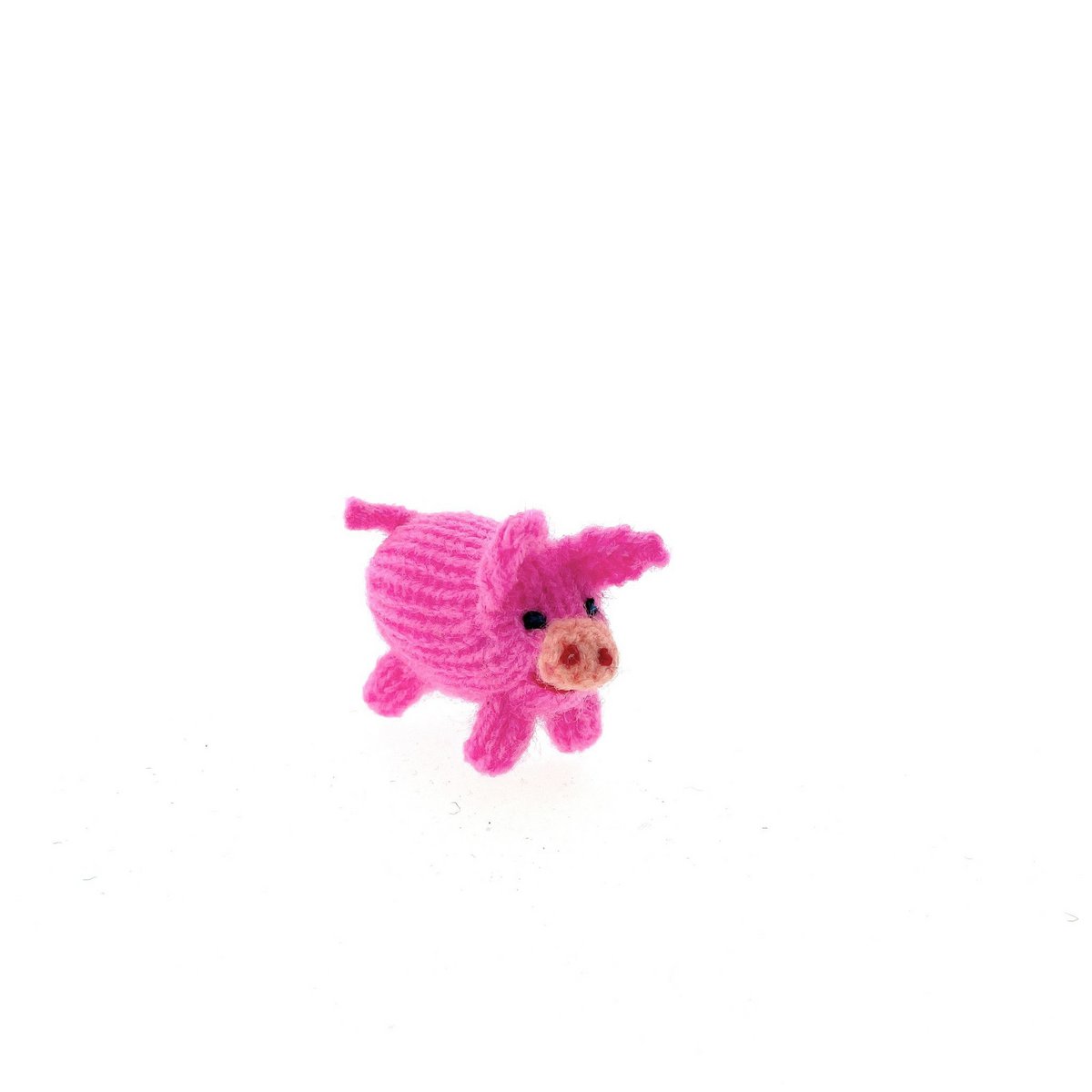 Cerdo de punto, pequeño