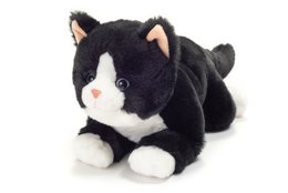 Bungelende kat zwart 30 cm - knuffel - knuffel