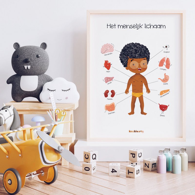 Het menselijk lichaam - Educatieve Poster - Kindje met kort haar