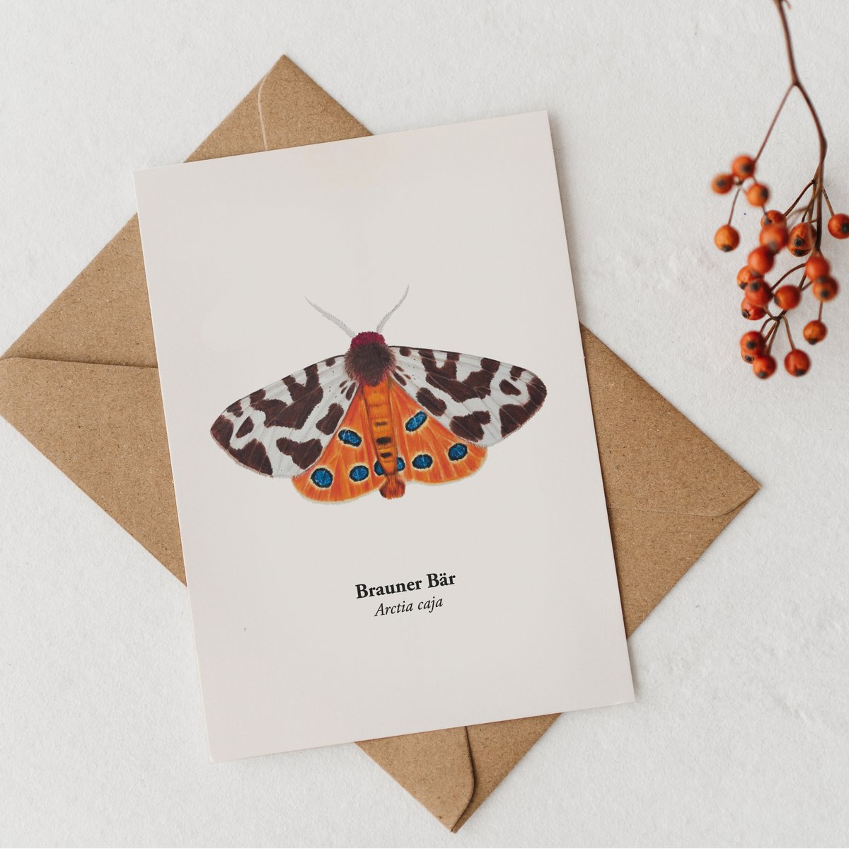 Postkarte Nachtfalter – Brauner Bär (Arctia caja), Miniprint A6