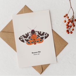 Postcard Nachtfalter - Brauner Bär (Arctia Caja), Miniprint A6