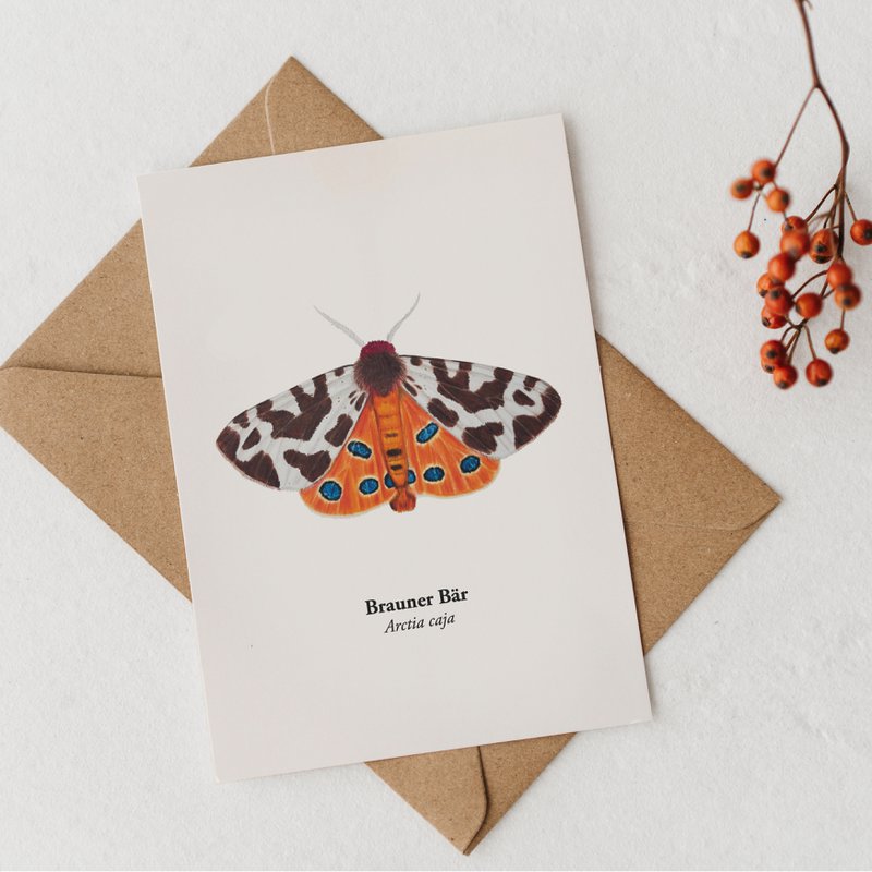 Postcard Nachtfalter - Brauner Bär (Arctia Caja), Miniprint A6