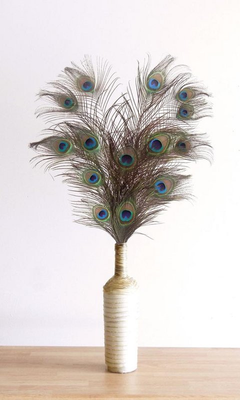 Peacock feathers - 10 pieces