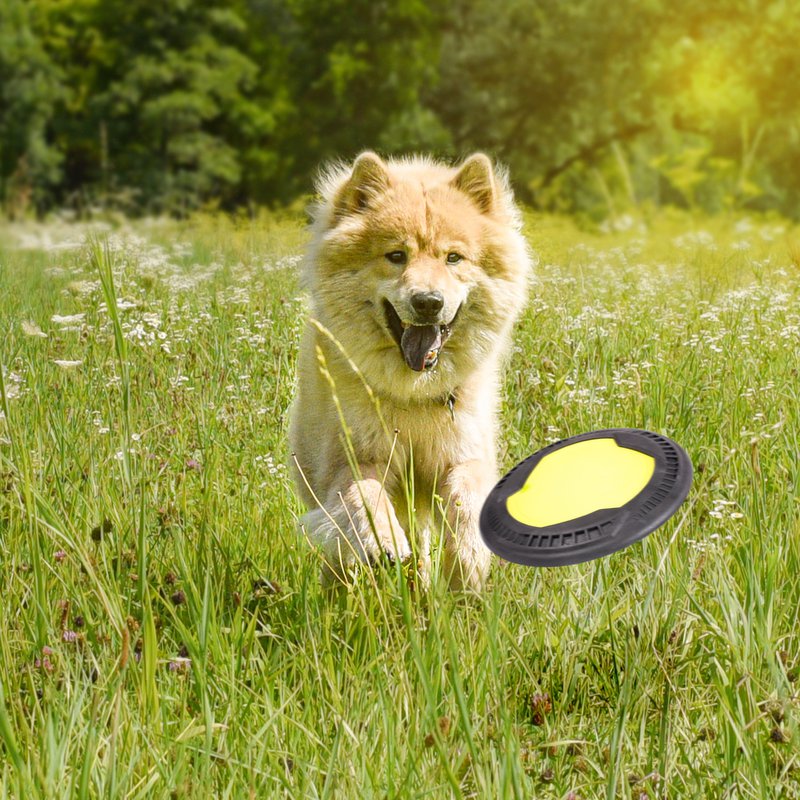juguete para perros con pídico para perros NE & NO®