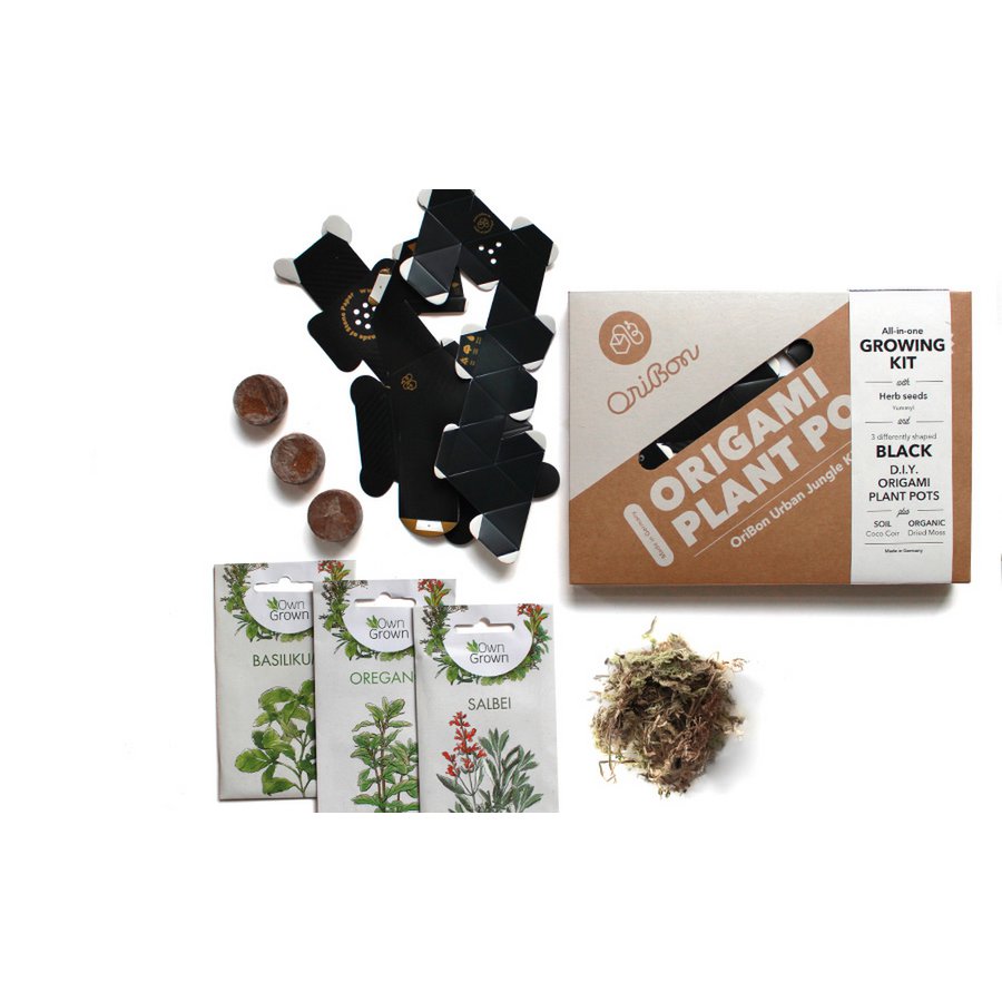 Kit Urban Jungle - Sumi Black con semillas de Hierbas