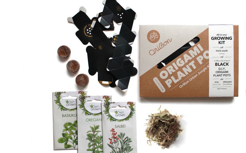 Kit Urban Jungle - Sumi Black con semillas de Hierbas