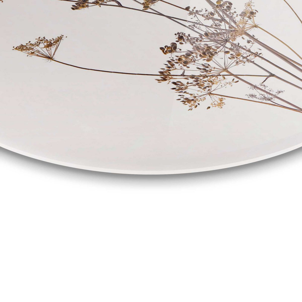 Plexiglass painting Acrylic Art Hogweed Ø 50