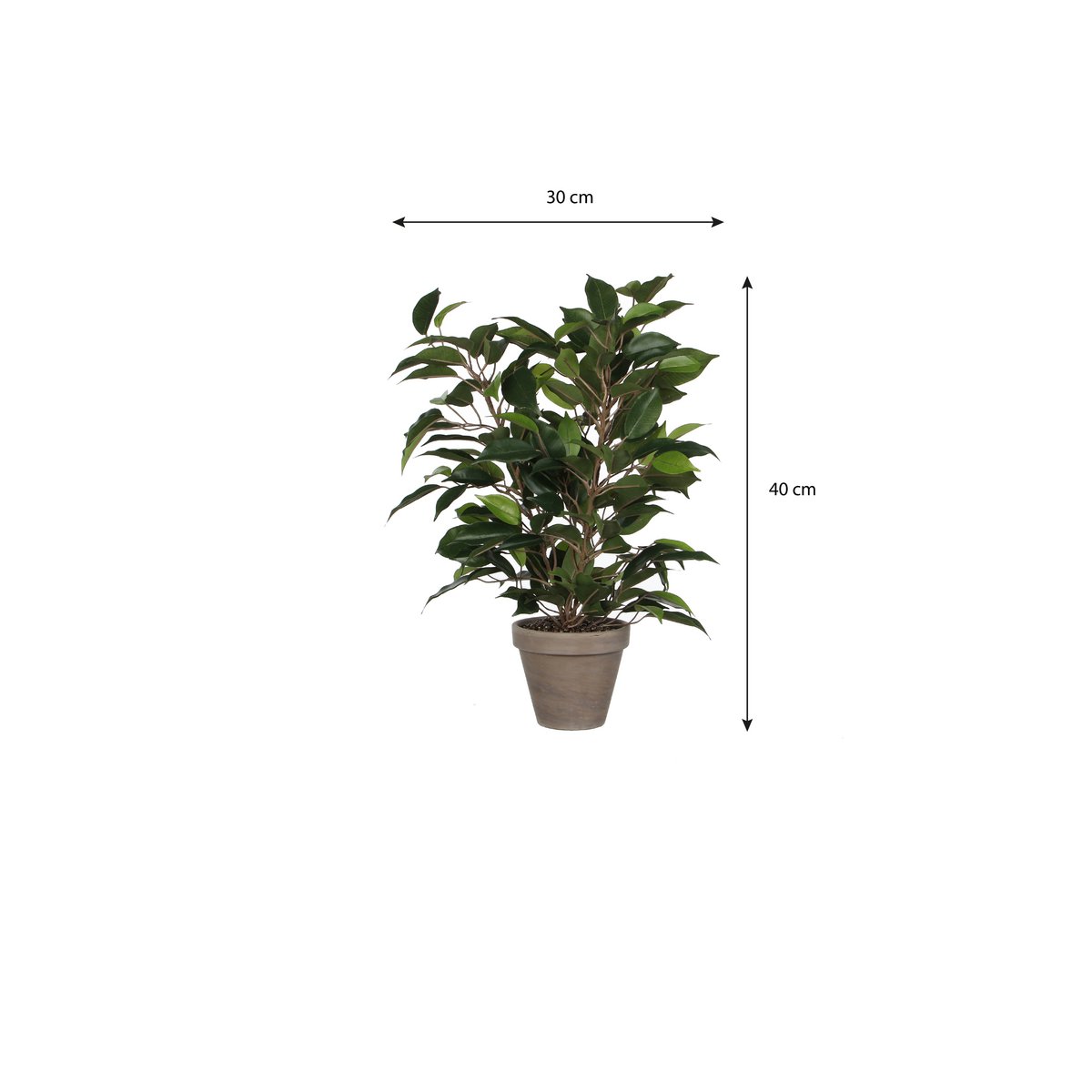 Kunstplant Ficus natasja Groen