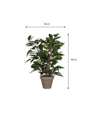 Kunstplant Ficus natasja Groen