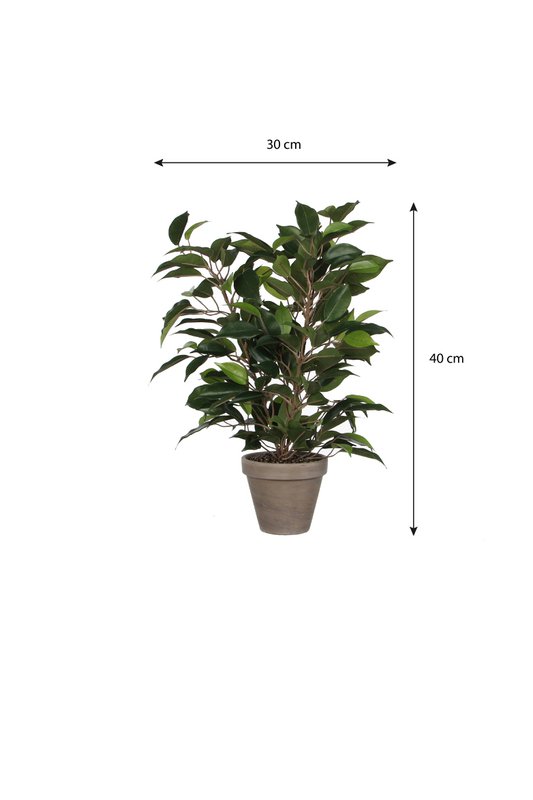 Kunstplant Ficus natasja Groen