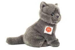 Kartäuserkatze sitzend 20 cm - Plüschtier - Stofftier