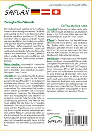 Arbusto di caffè nano