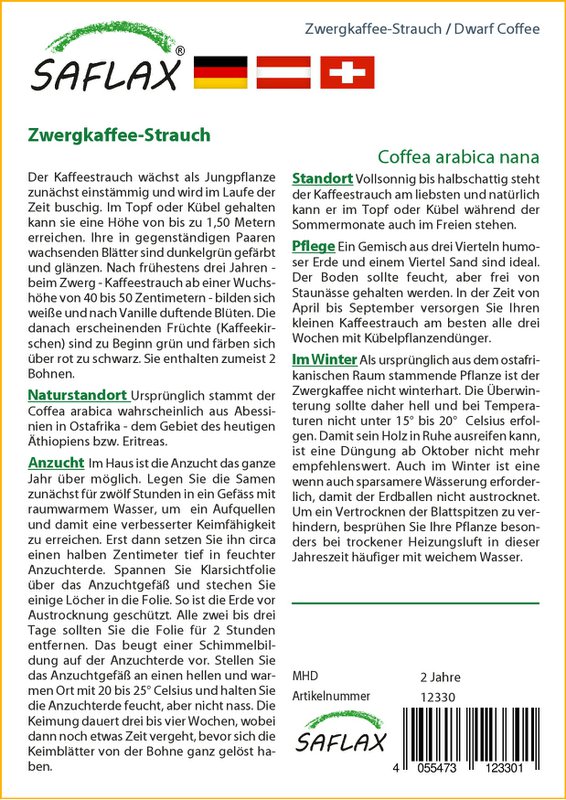 Arbusto di caffè nano