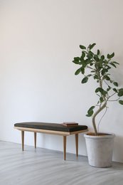 panceta