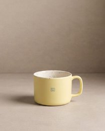 Yellow/Blue Mug 450ml