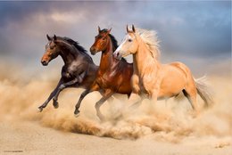 Three horses - desk pad 60 x 40 cm