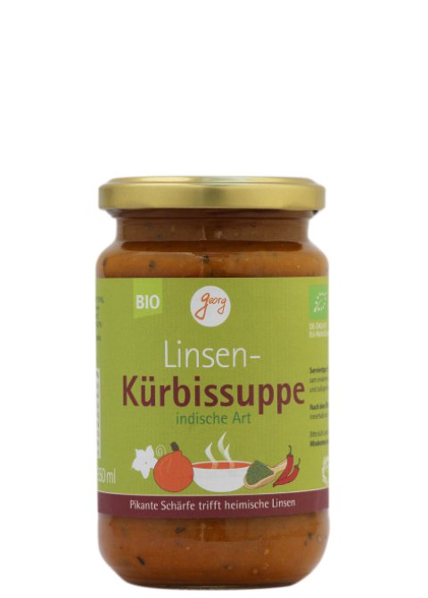 Linsen Kürbissuppe indische Art Bio