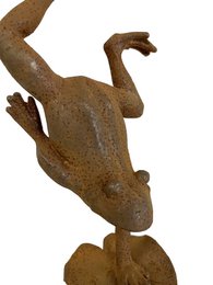 Grenouille en fonte