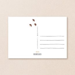 Postal | árboles de otoño