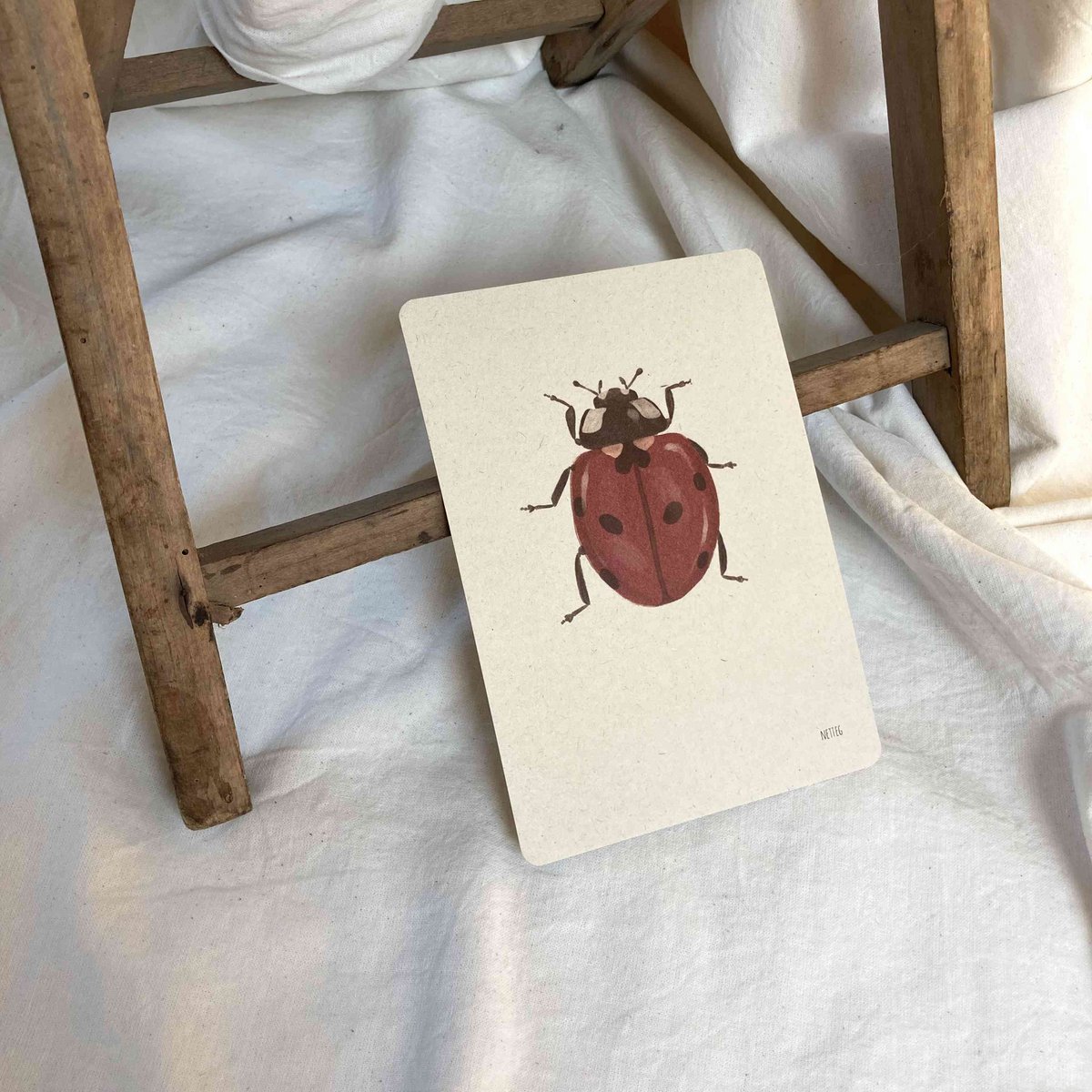 Kartenset Insekten
