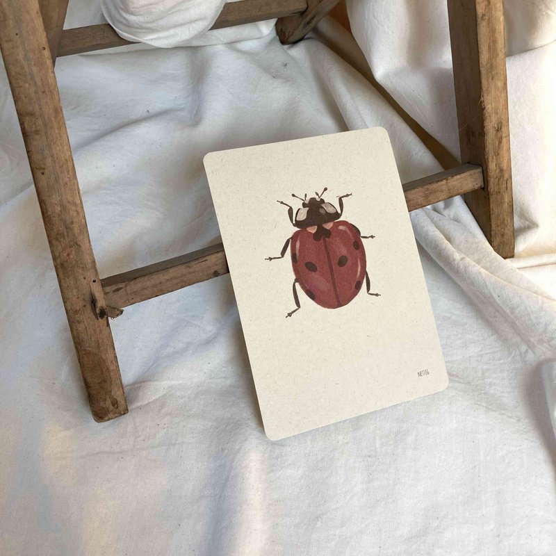 Kaartenset Insecten